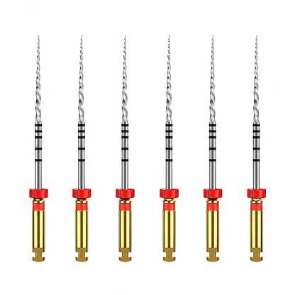 Dentsply ProTaper Universal Rotary Files - Refills - F2 31mm