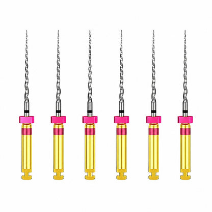 Dentsply ProTaper Universal Rotary Files - Refills - S2 21mm