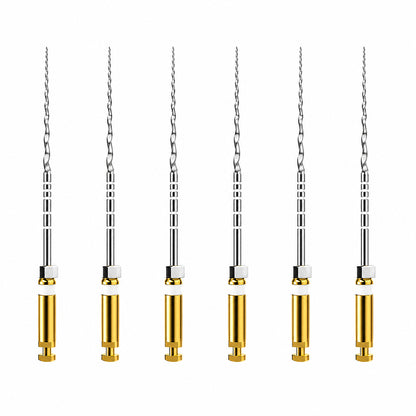 Dentsply ProTaper Universal Rotary Files - Refills - S2 31mm